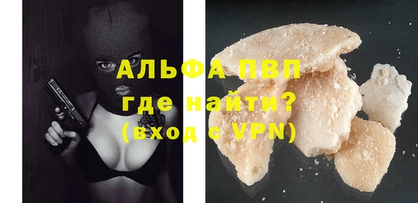стафф Вязьма