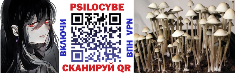 МЕГА зеркало Вытегра Псилоцибиновые грибы MAGIC MUSHROOMS