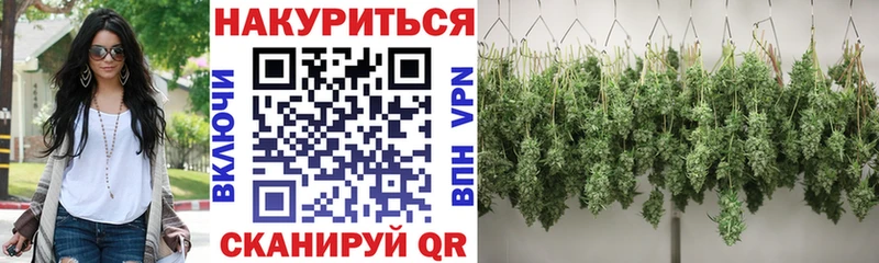 Конопля OG Kush  Вытегра 